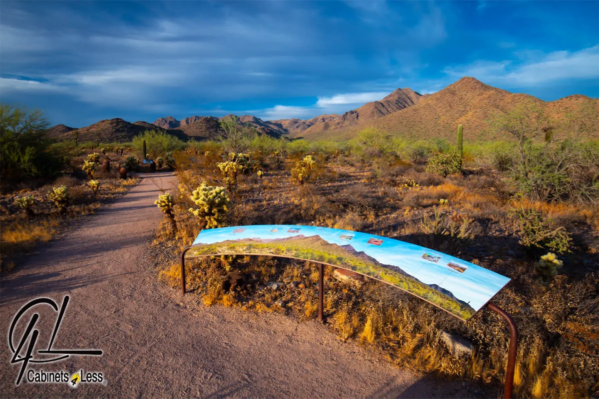 Experience Unforgettable Desert Adventures
